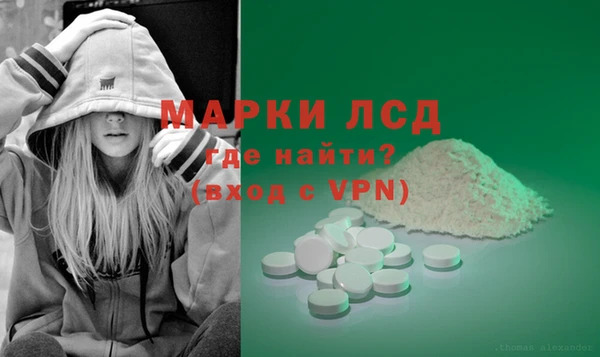 spice Березники