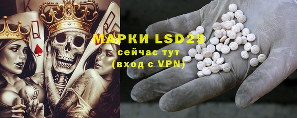 ГАЛЛЮЦИНОГЕННЫЕ ГРИБЫ Александровское