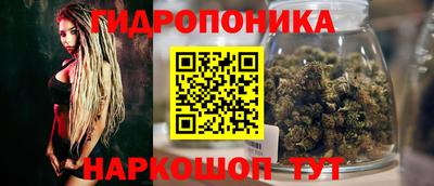 дживик Гусь-Хрустальный