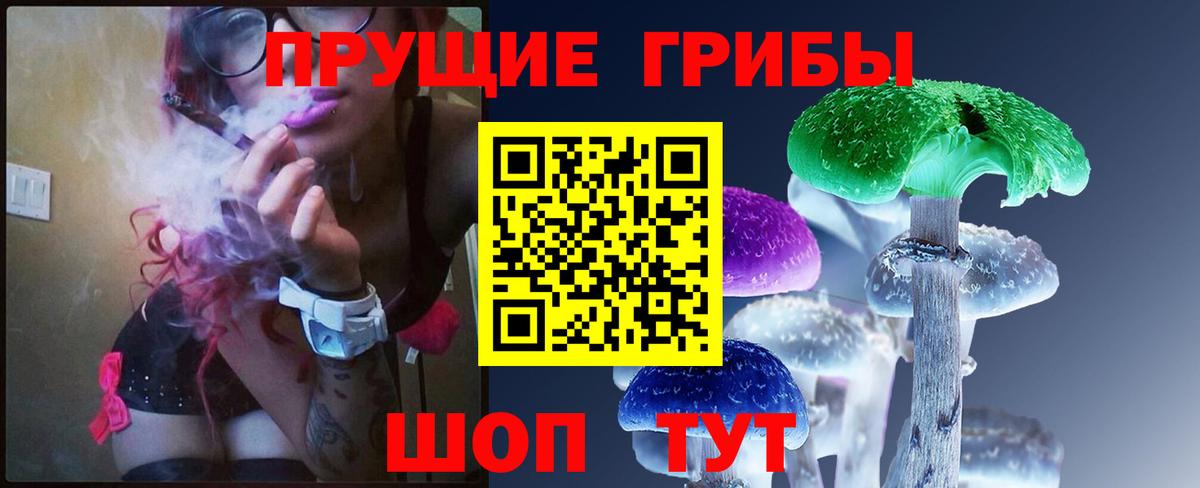 Старый Оскол  Псилоцибиновые грибы MAGIC MUSHROOMS  Вход с VPN 